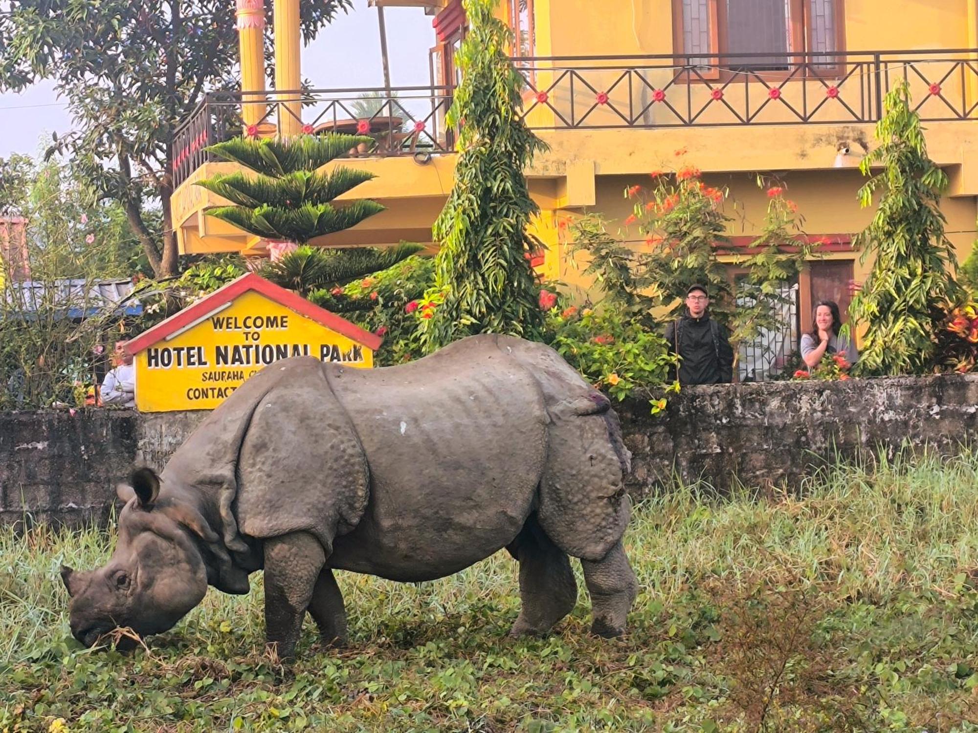 Hotel National Park Sauraha- Homely Stay And Peaceful Location With Jungle Safari Arrangements Exterior foto